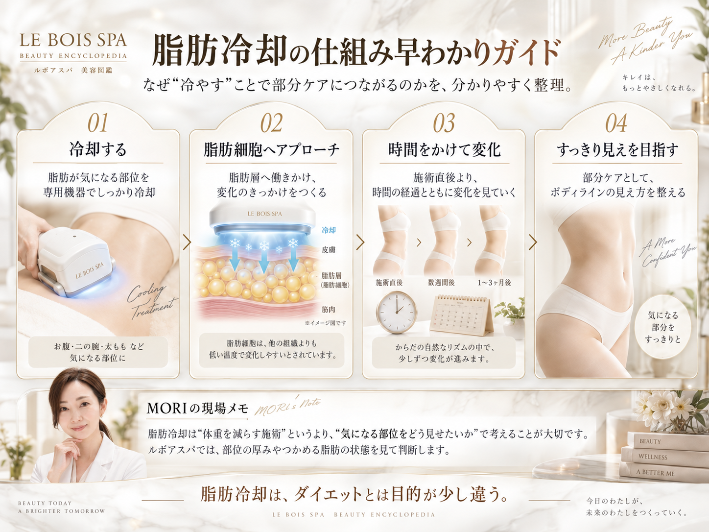 脂肪冷却の仕組みを冷却から部分ケアまで4ステップで解説した図解